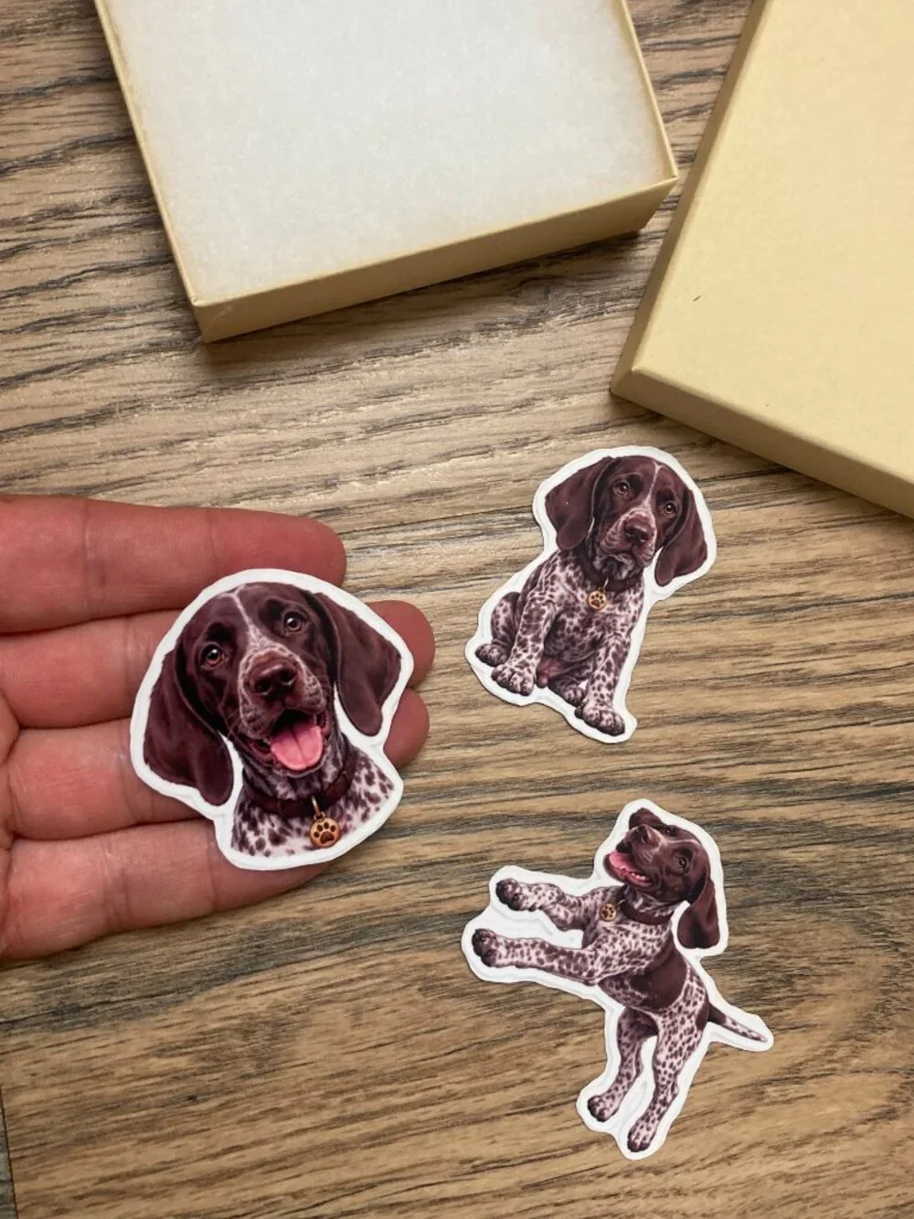 A Thousand Walks set adorable